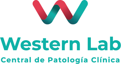 Logo Western Lab Final Cvs